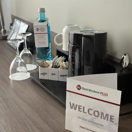 Western Steinsgarten Hotell 4*