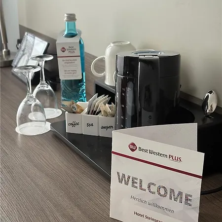 Hotell Western Steinsgarten Gießen